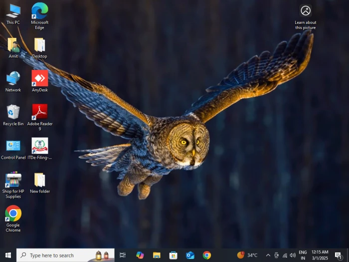 ভবিষ্যৎ ক্যারিয়ার অপশন: আজকের শিক্ষাই গড়বে আগামীর সফলতা